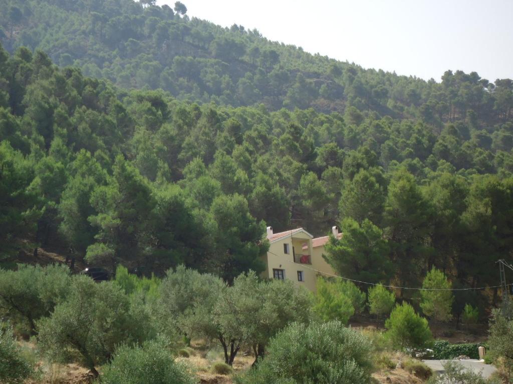 Appartement Cortijo Del Alcazar à Alcaucín Extérieur photo